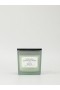 Mango Mojito Green Indulgence 200g Candle | French Connection Candles And Fragrances