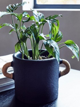  Terakotový květináč černý | Doplňky do domácnosti French Connection